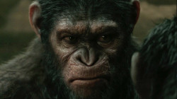apes2