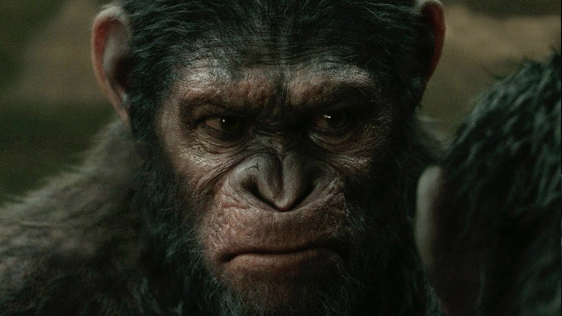 Senior Lighting Technical Director - Dawn of the Planet of the Apes